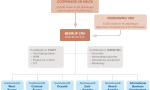 130-16-Organogram-CR-Delta